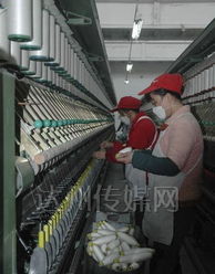 玉竹麻業紡紗車間 傳統工藝與現代技術的交織